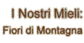 produzione di miele biologico di montagna